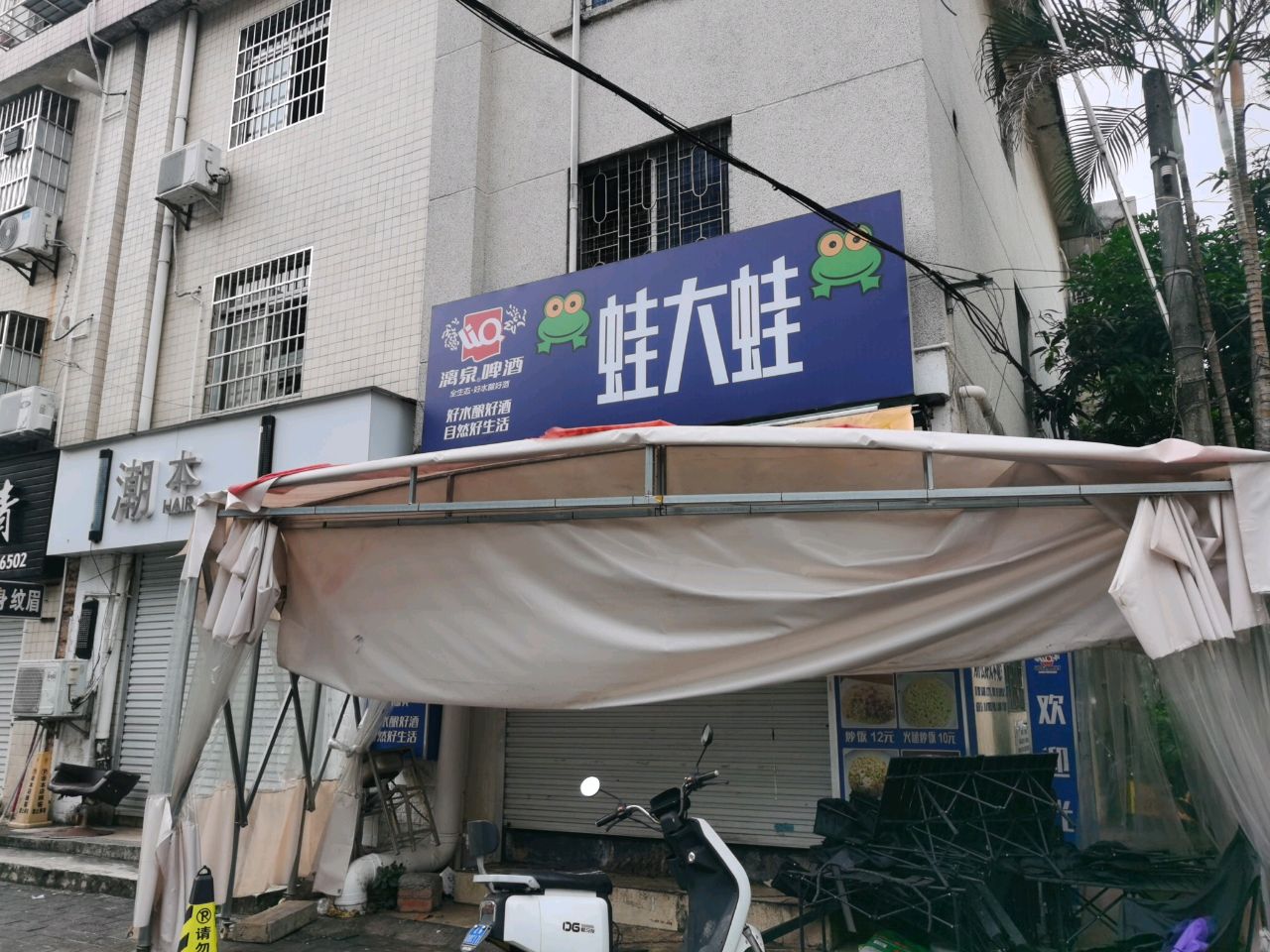 蛙大蛙