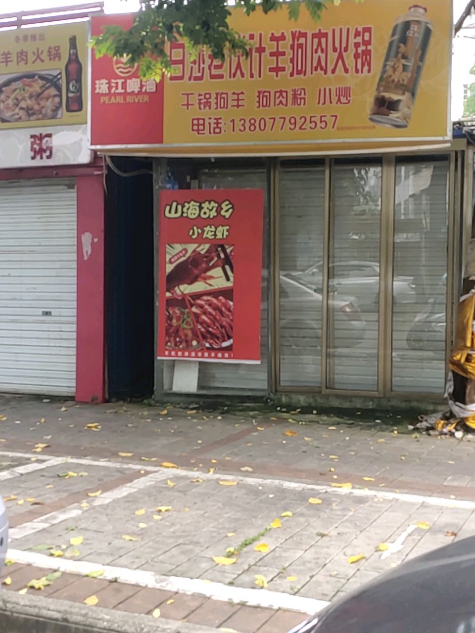 白沙林记