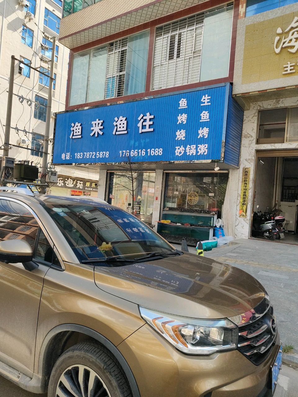 渔来渔往