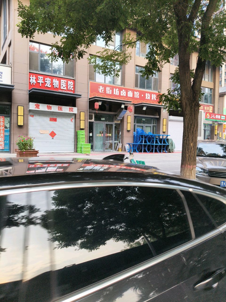 林平宠物医院(新晋北里店)