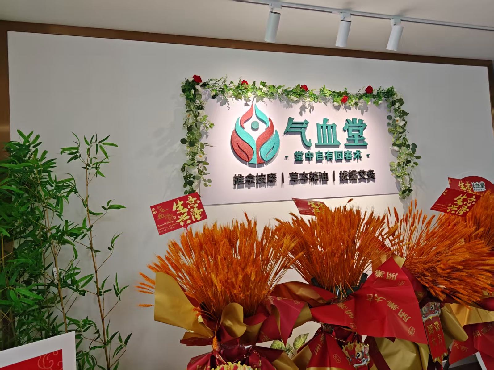 气血堂·堂中自有回春术