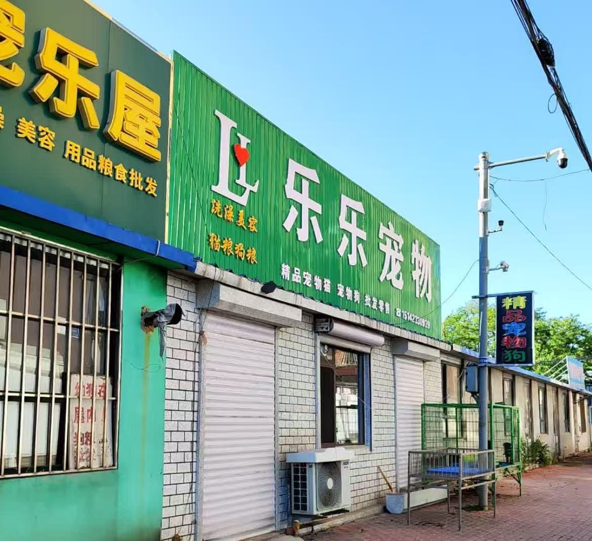 乐乐宠物