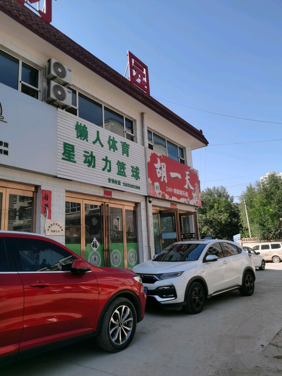 懒人体育星动力篮球