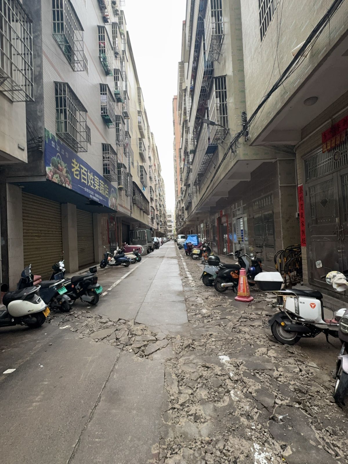 哈妮宠物(龙华店)