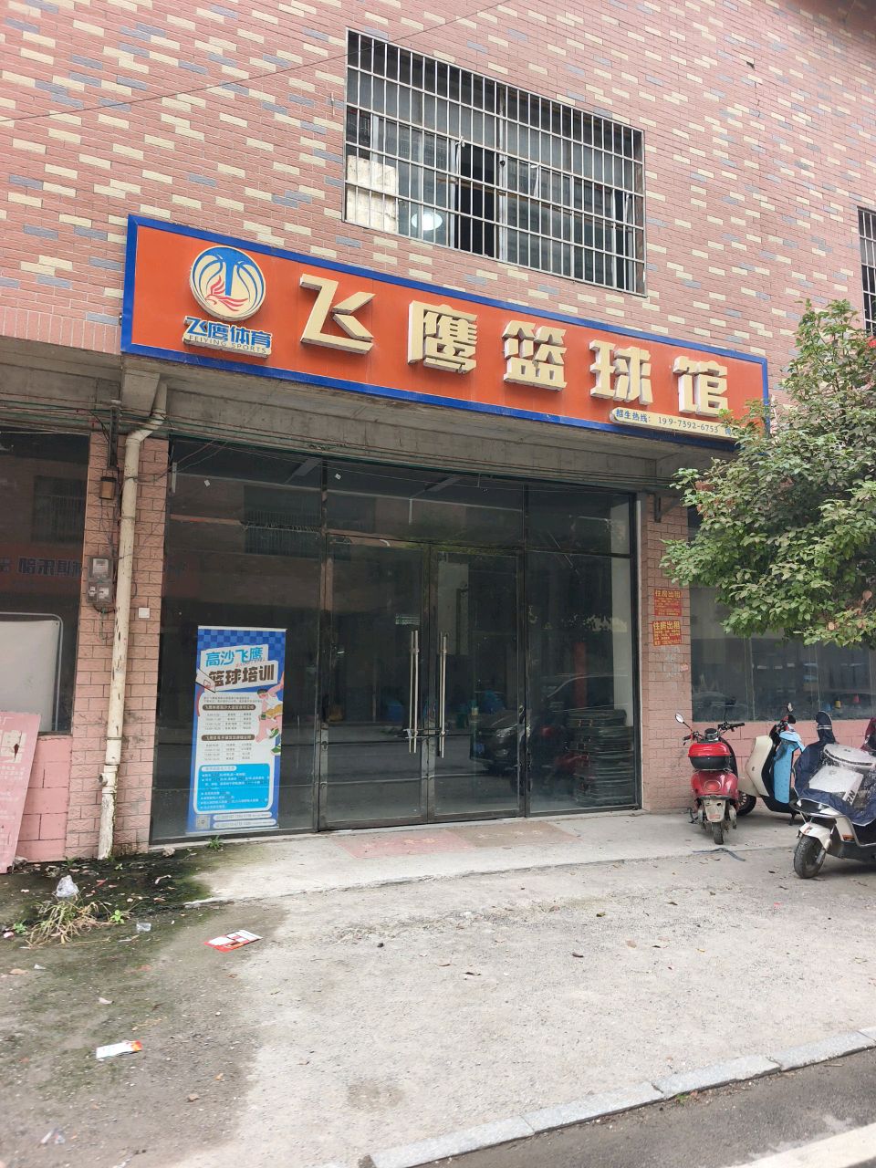 飞鹰篮球馆