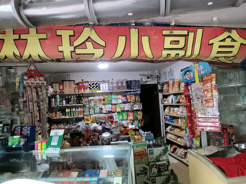 四川省南充市阆中市林玲小副食