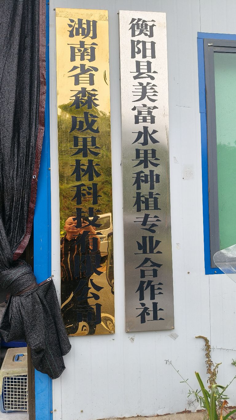 湖南省森成果业有限公司