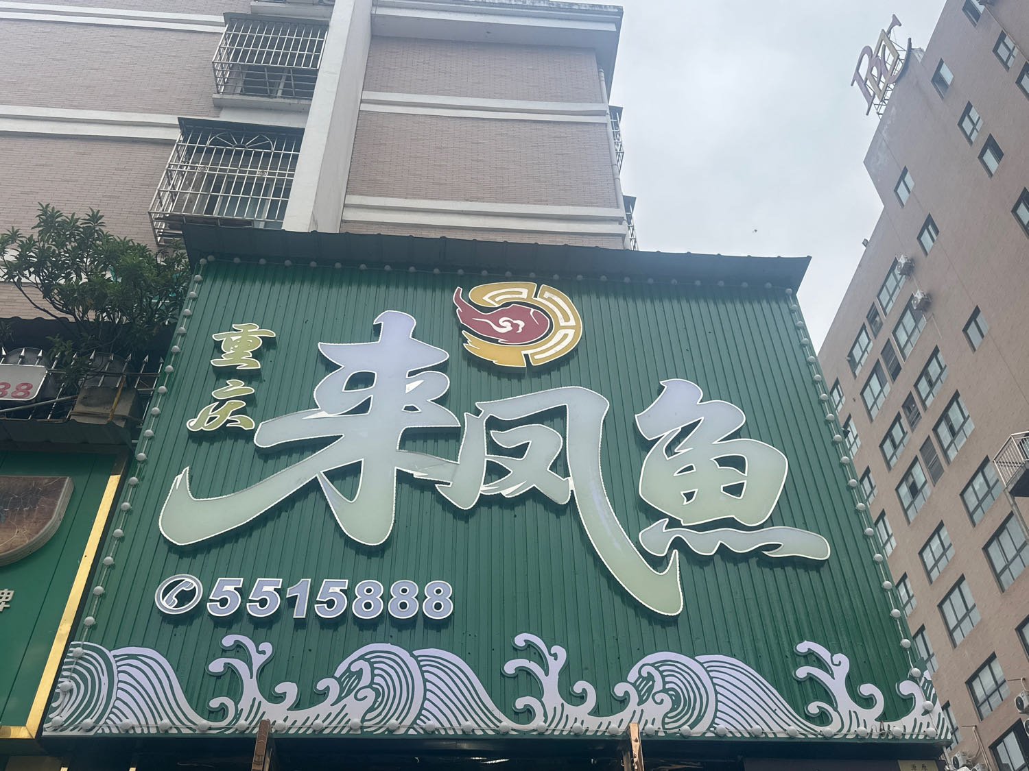 重庆来凤鱼(南院春天店)