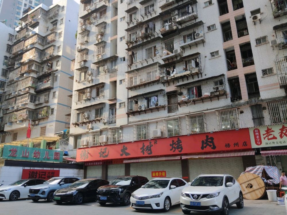 谢记大树烤肉(梧州店)