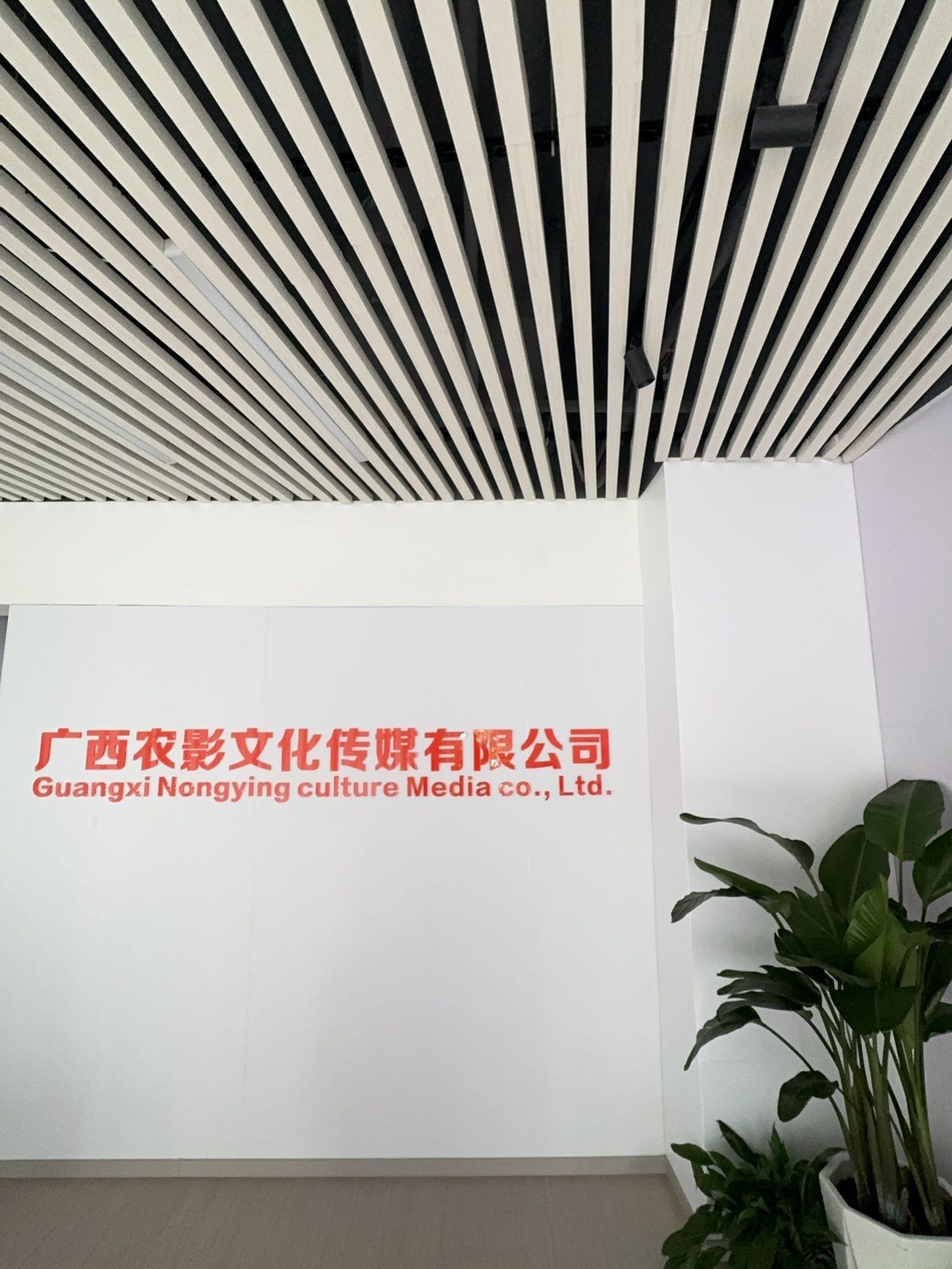 广西农影文化传媒有限公司