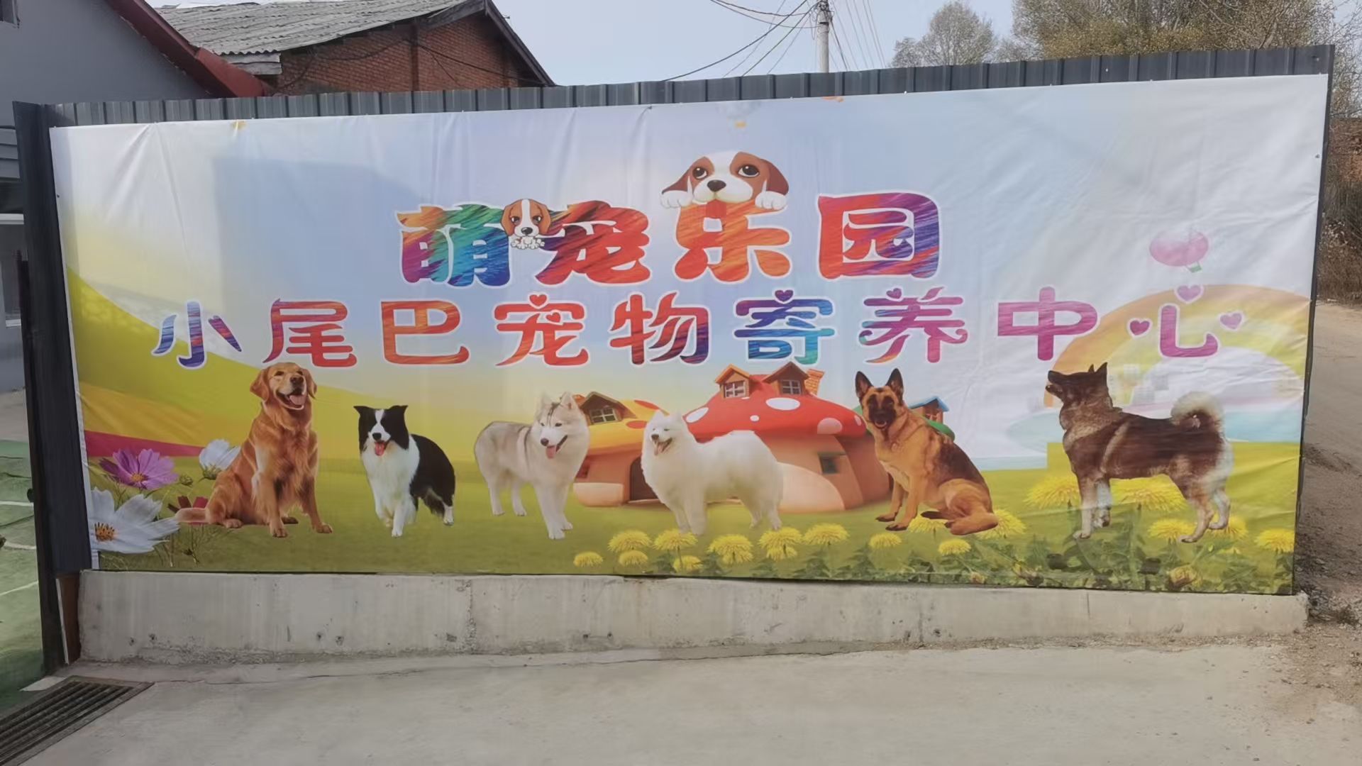 加格达奇小尾巴宠物寄养中心