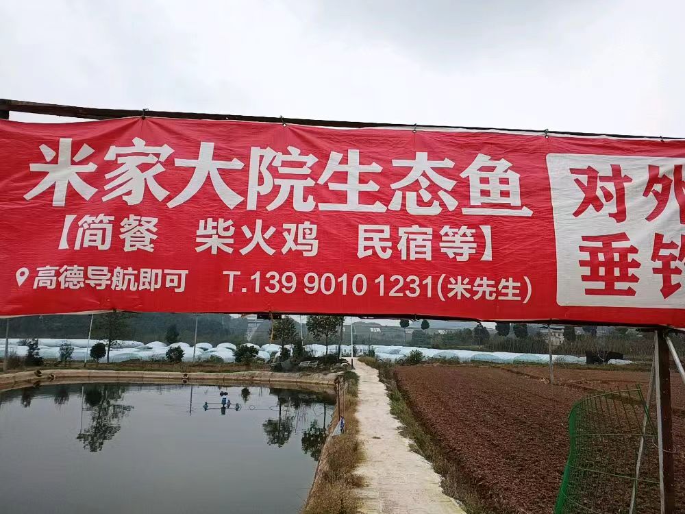 米家大院生态鱼