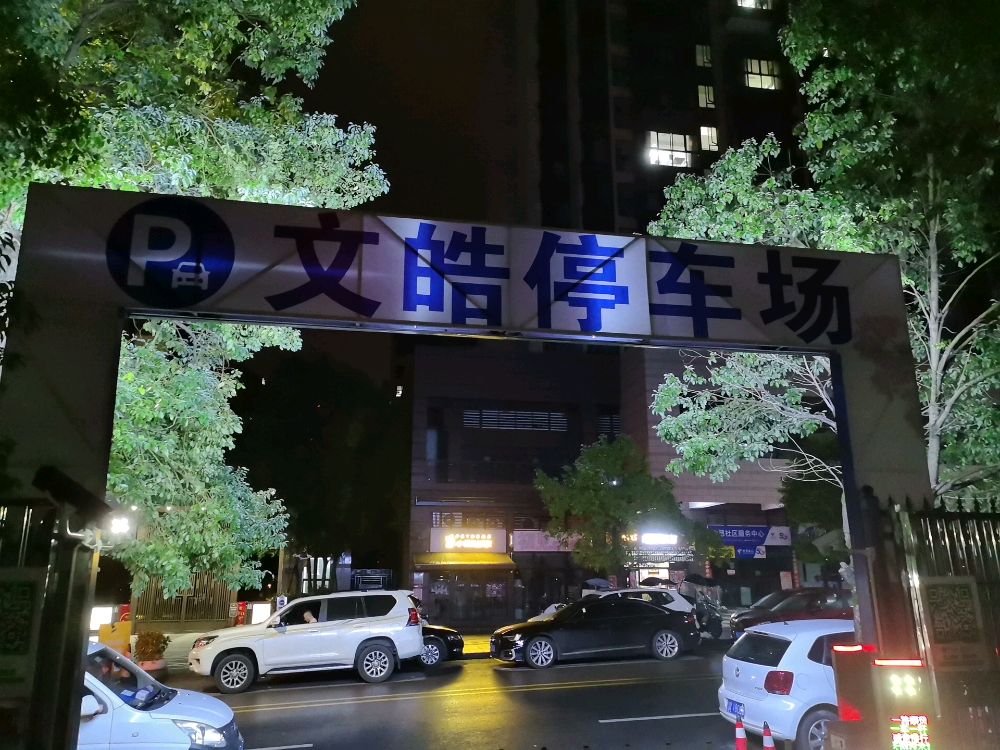文皓地上停车场-出入口