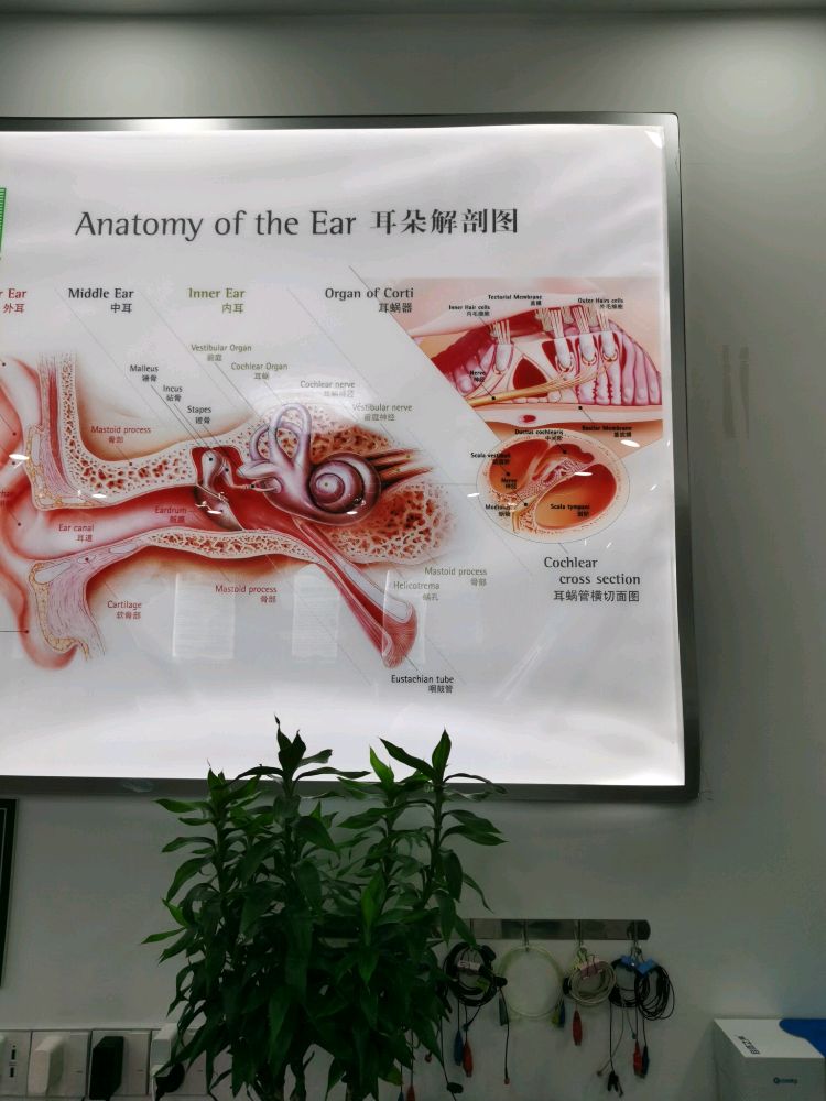 云浮市云城区兴云东路(云城店)