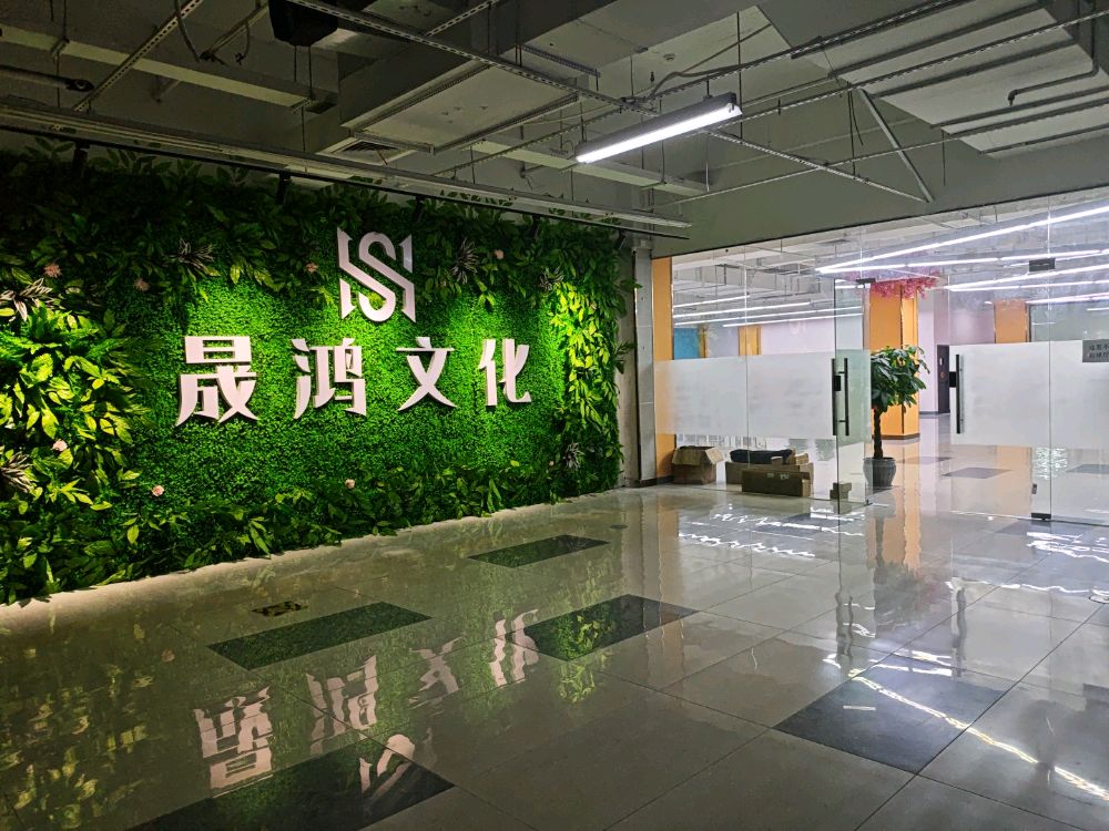 广西晟鸿文化传媒有限公司