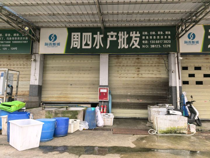 周四水产批发(周启荣)