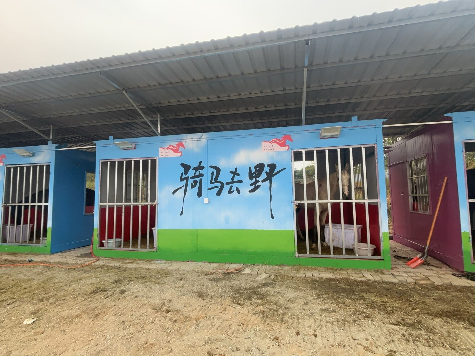 潜龙马术俱乐部