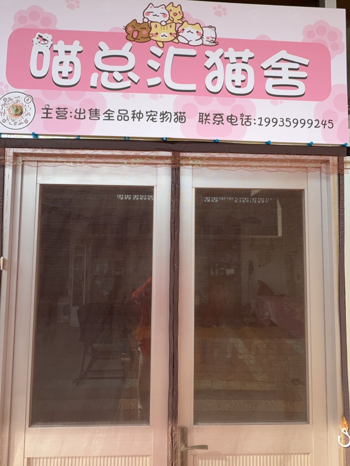 喵总汇宠物(活体猫粮狗粮批发)