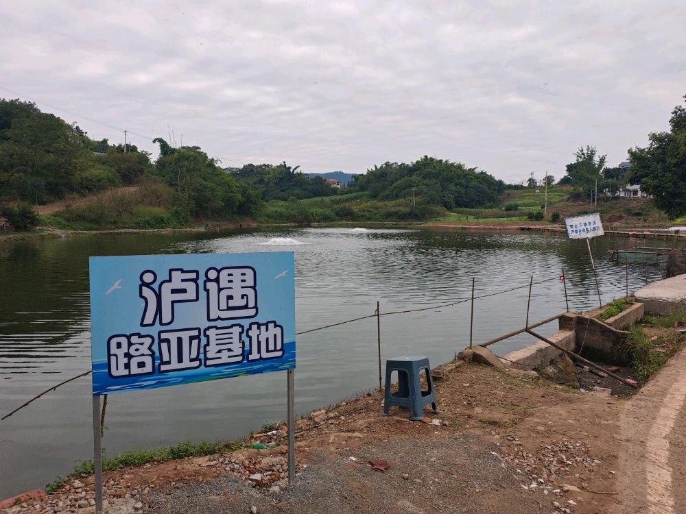 泸遇路亚基地