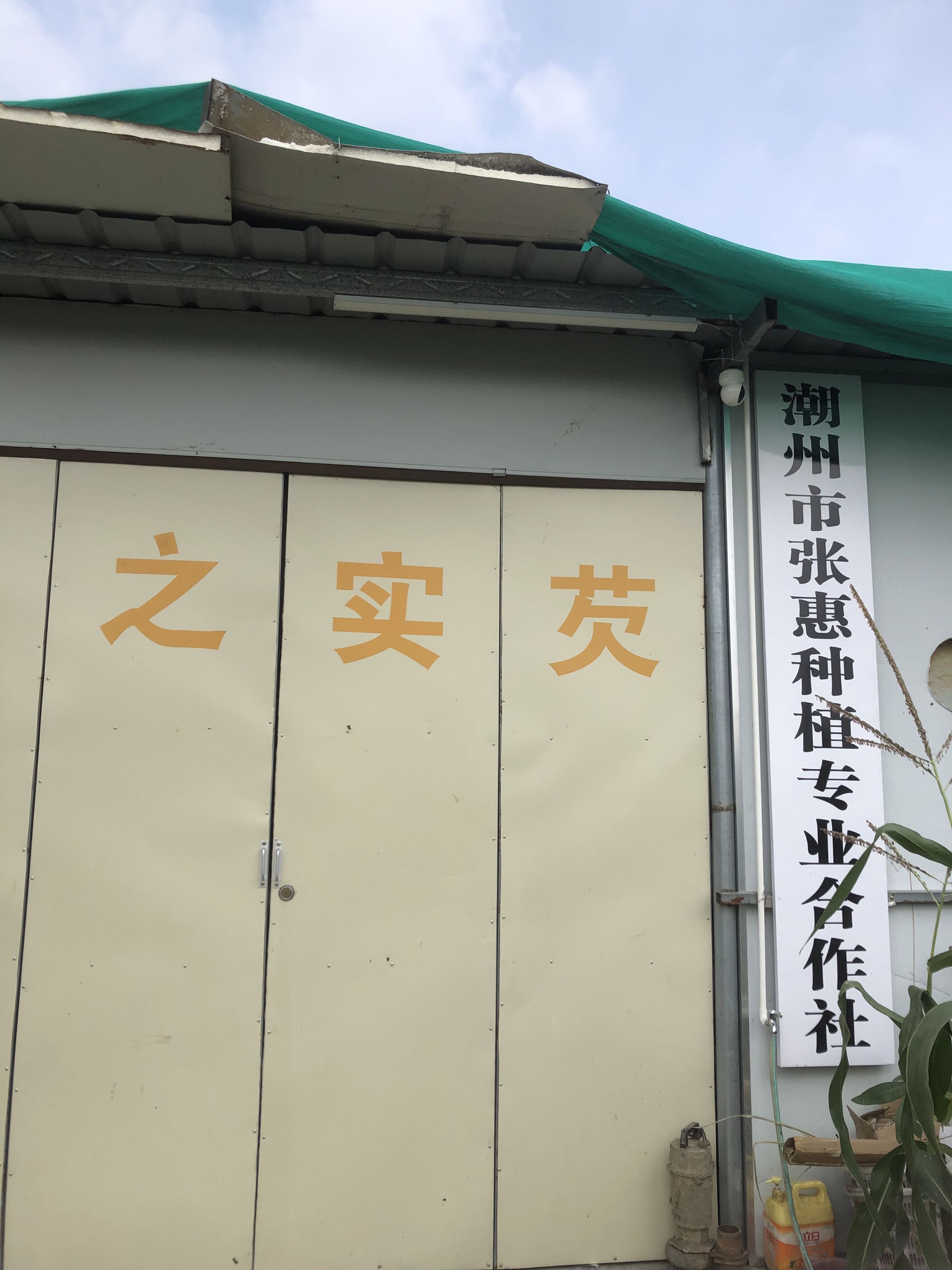 潮州市张惠种植专业合作社