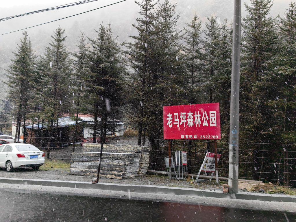 老马坪森林公园