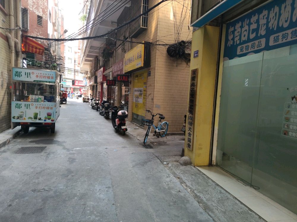 东莞尚芒宠物市场犬舍猫舍