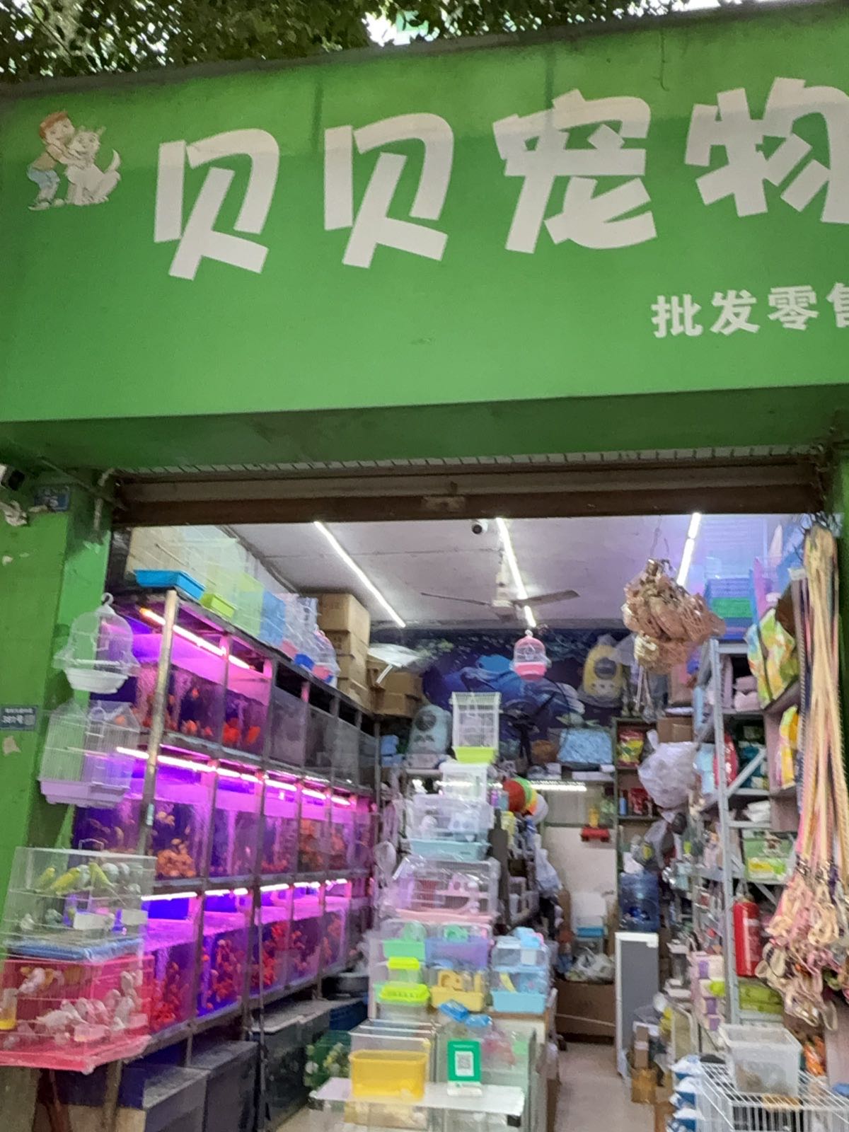 贝贝宠物
