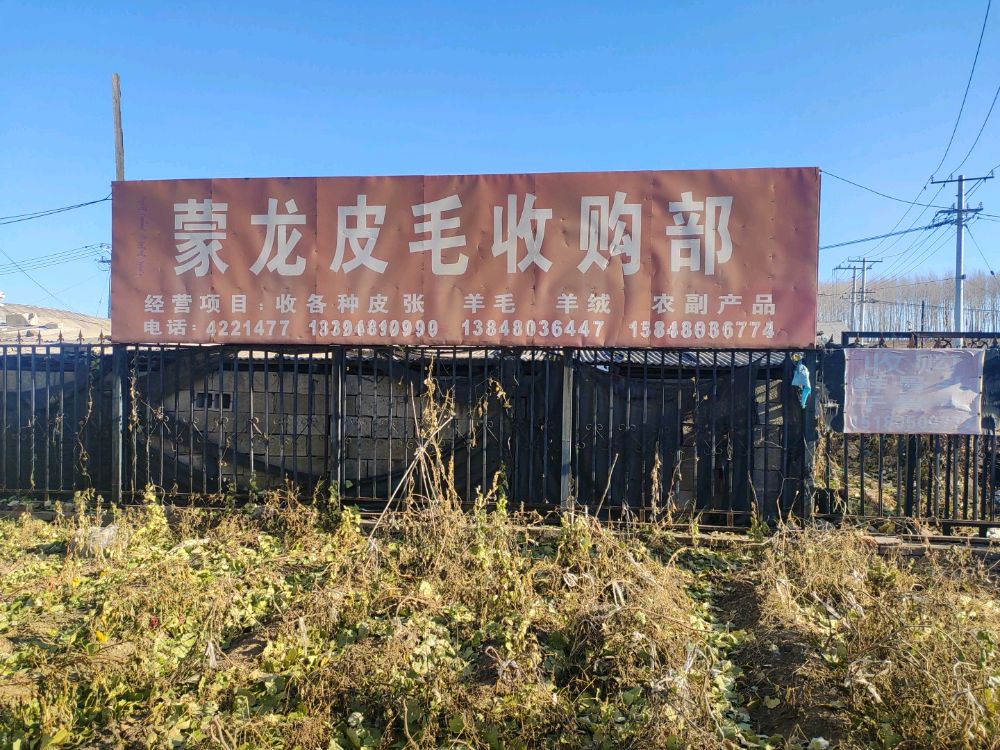 蒙龙皮毛收购部