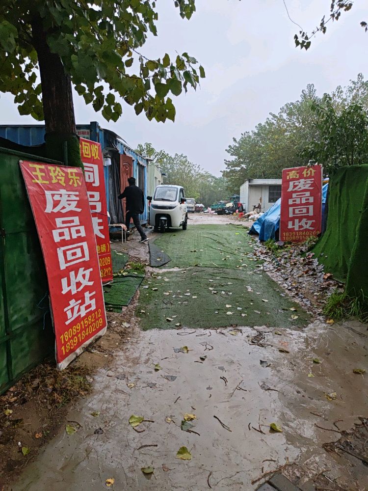 王玲乐废品回收