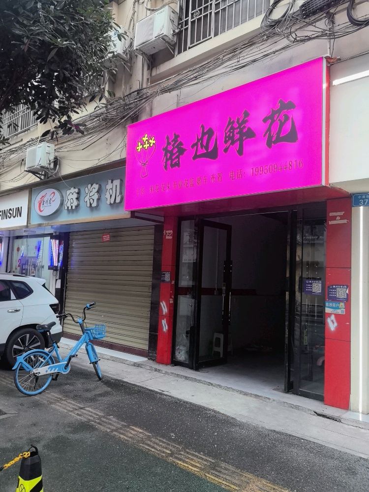 椿也鲜花