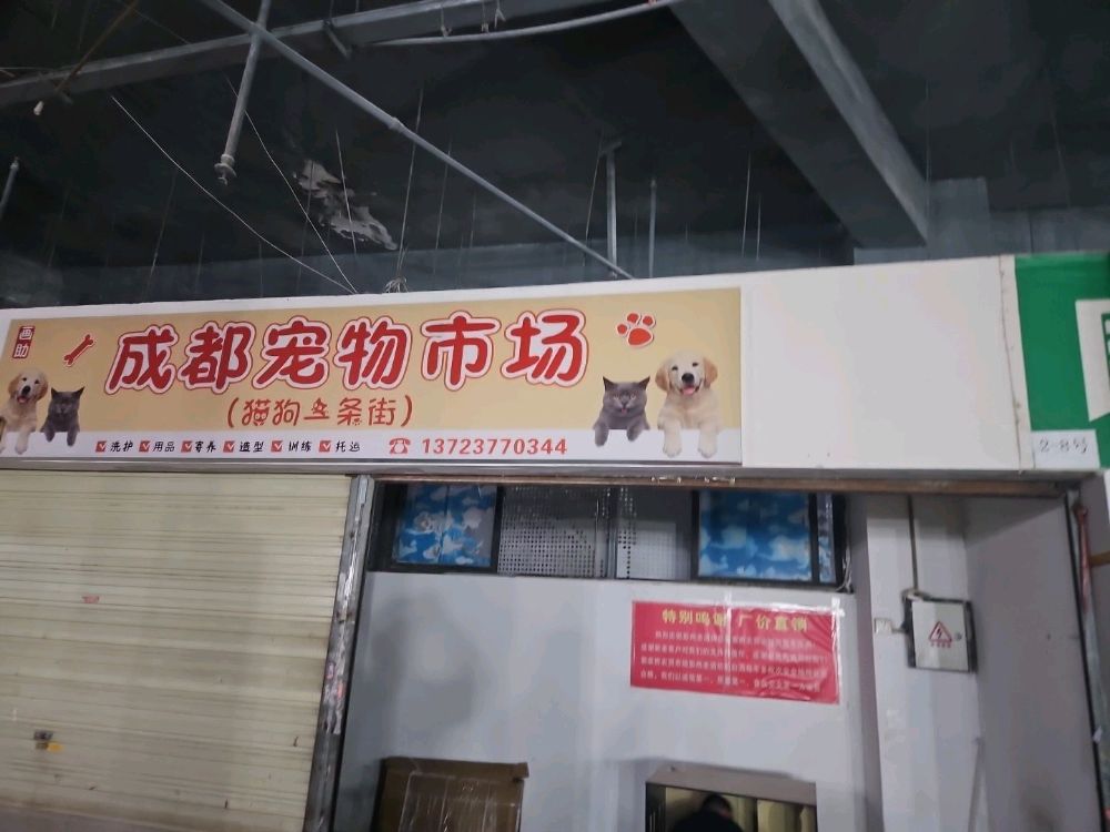 成都宠物市场(猫狗一条街)