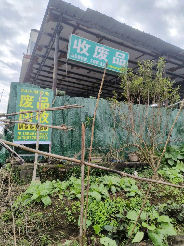 收废品
