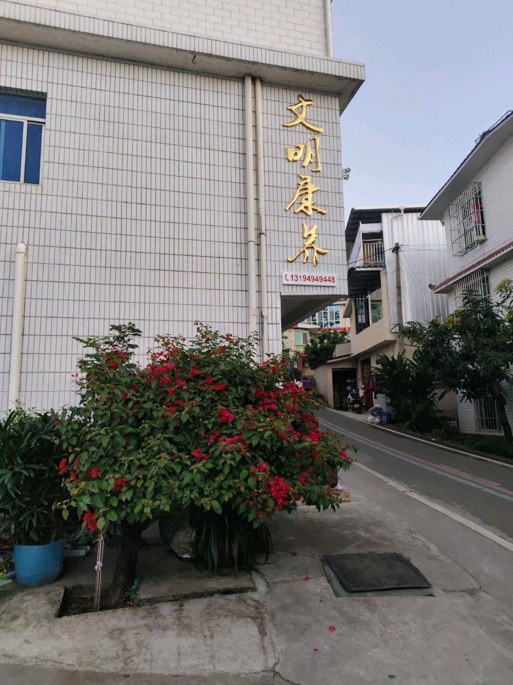 文明康养