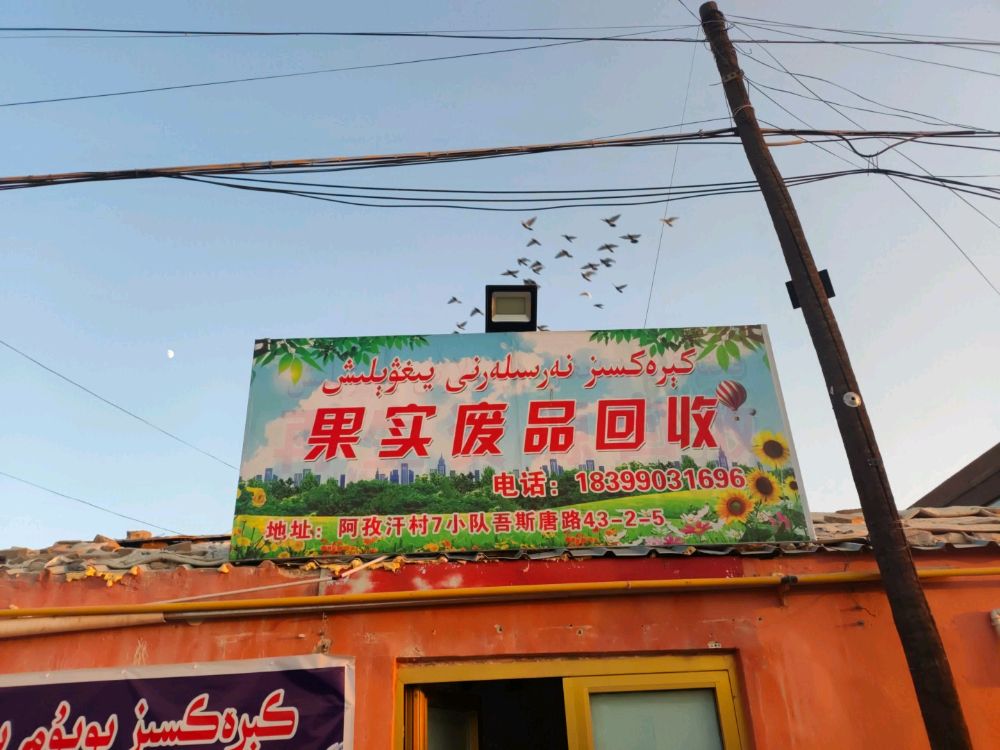 果实废品回收