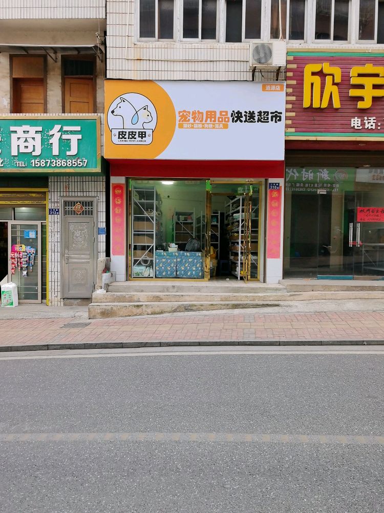 皮皮甲宠物用品快送超市