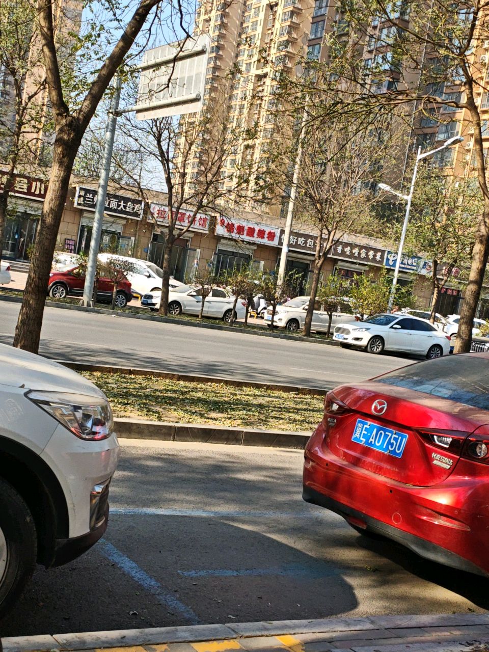 清真兰州拉面大盘鸡(封龙大街店)