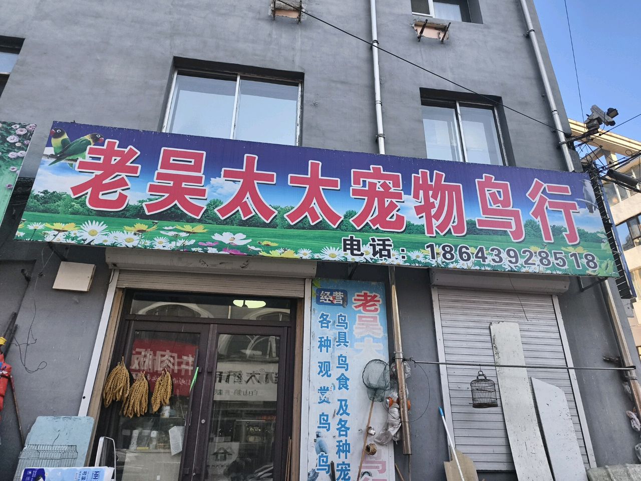 老吴太太宠物鸟行