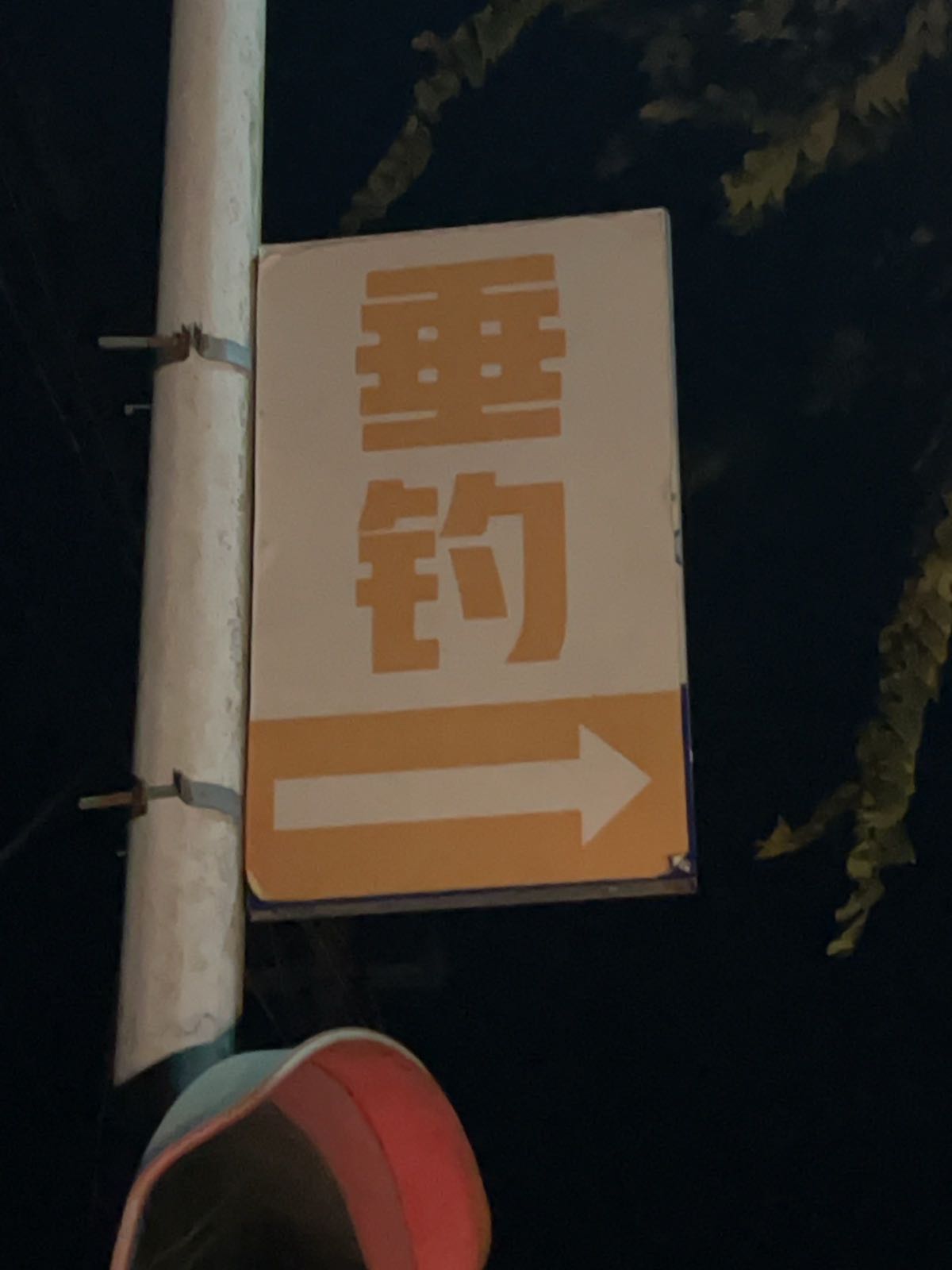 渔鱼垂钓园