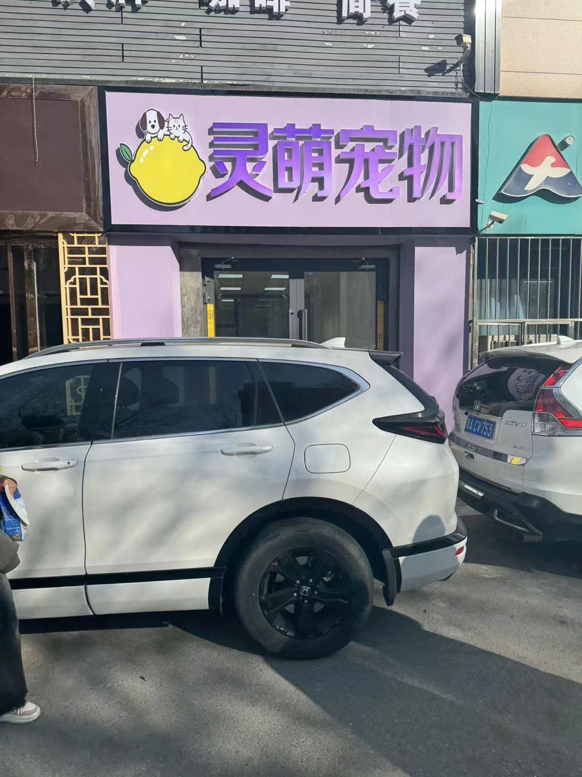 灵萌宠物