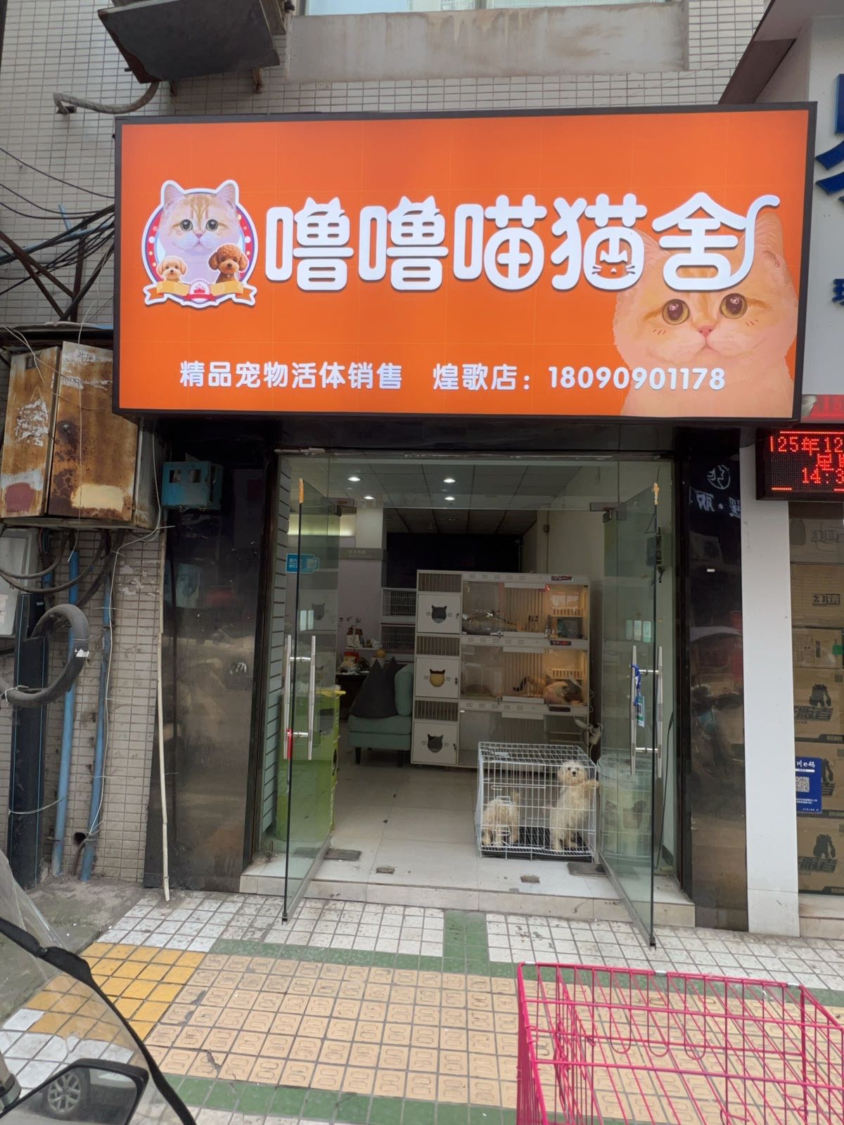 噜噜喵猫舍