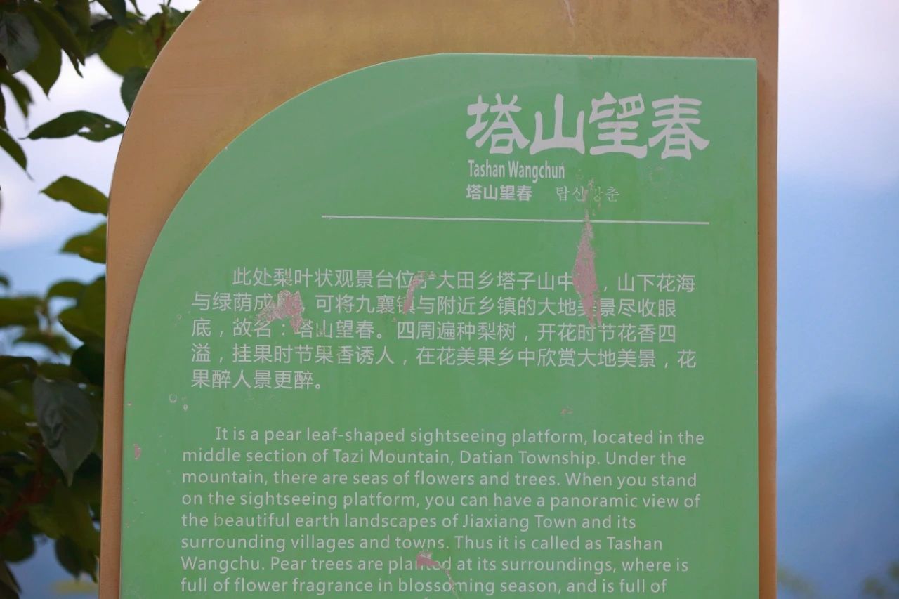 塔山望春