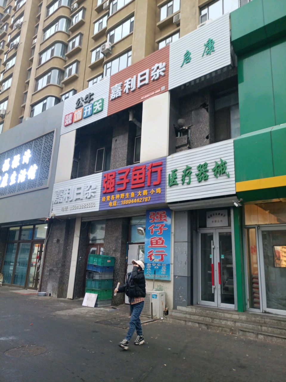强子鱼行