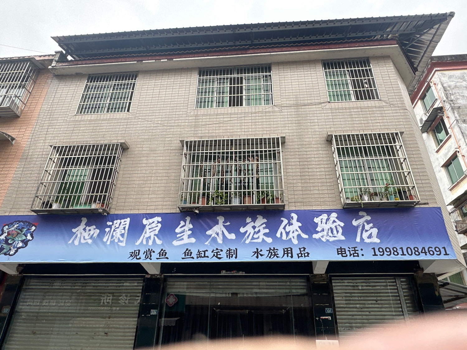 栖澜原生水族体验店