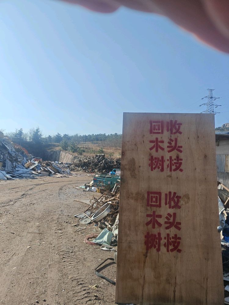 木头树枝回收
