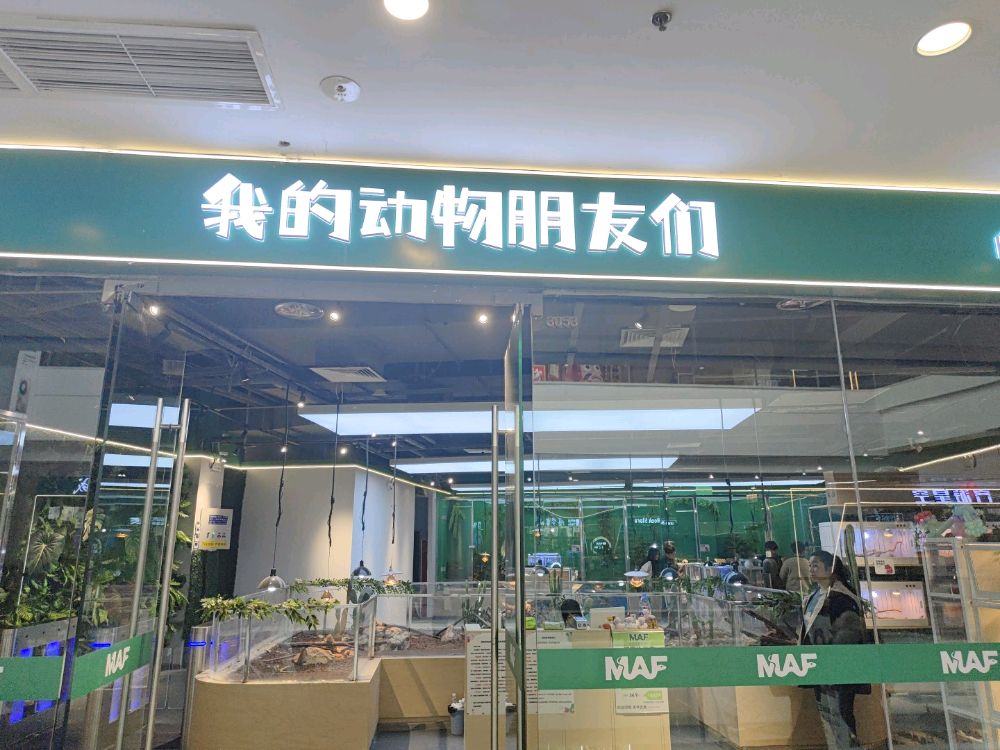 我的动物朋友们