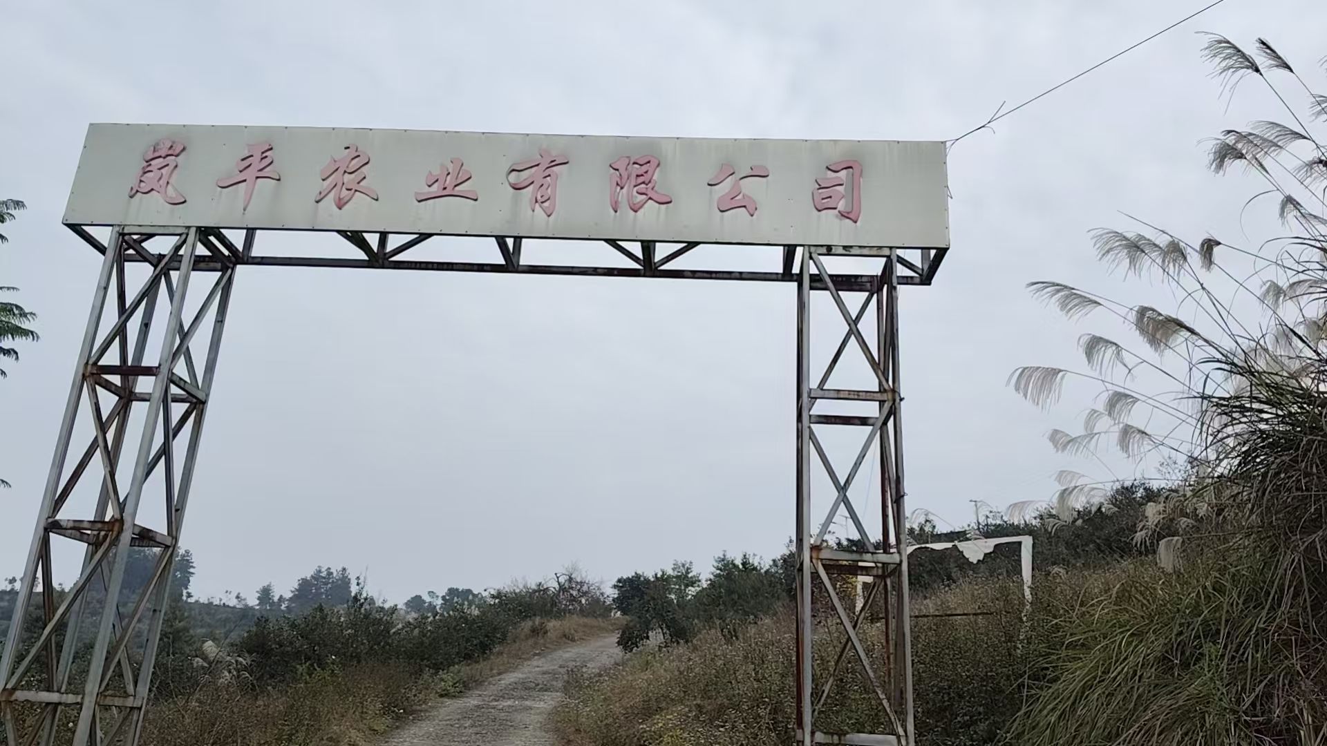四川省泸州市岚平农业有限公司