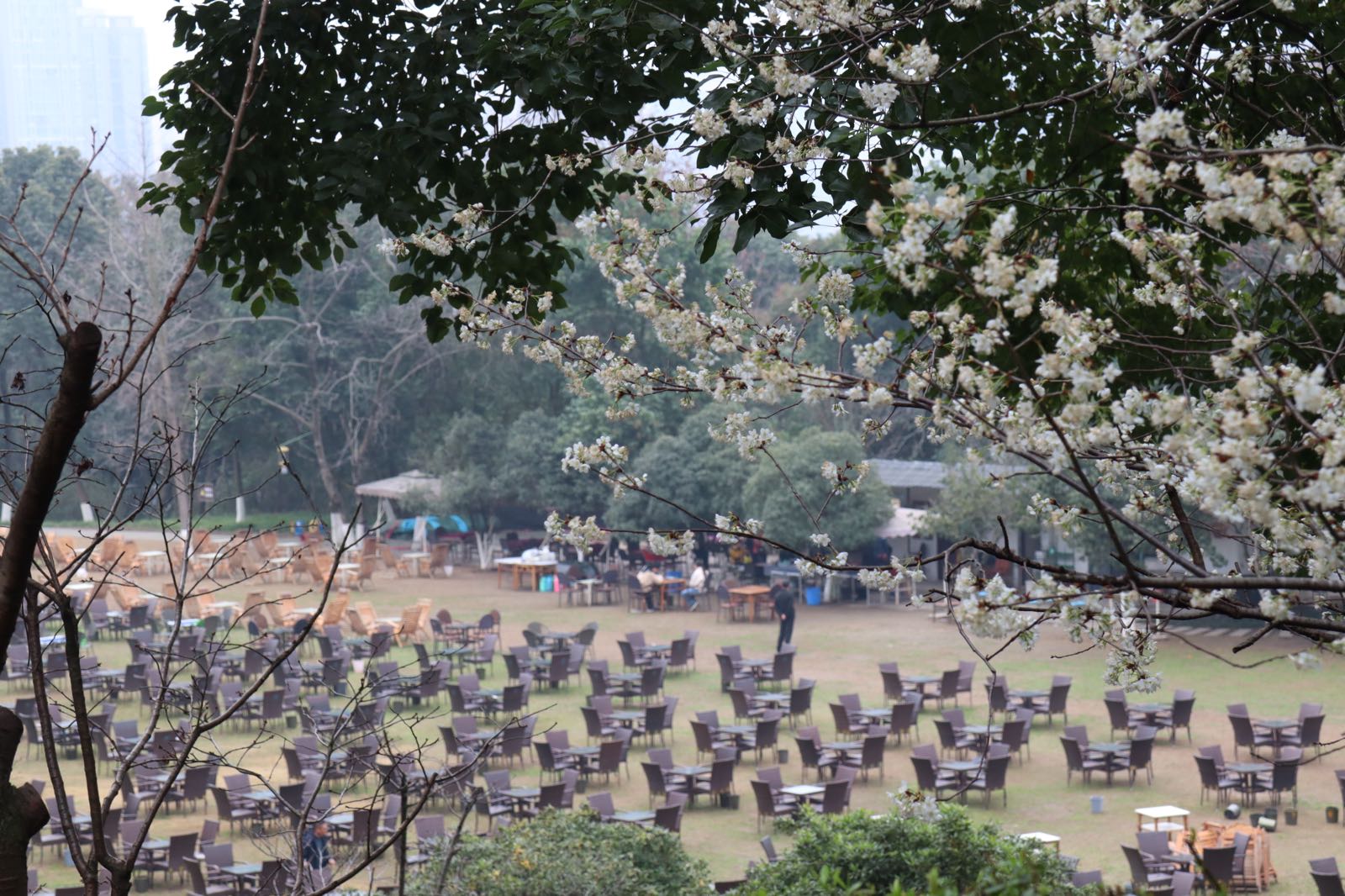 西山子云亭风景区-大草坪