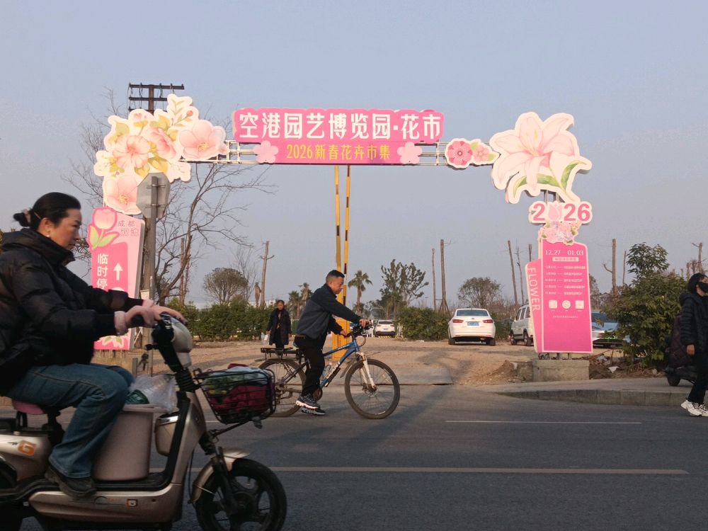 空港园艺博览园花市-地上停车场
