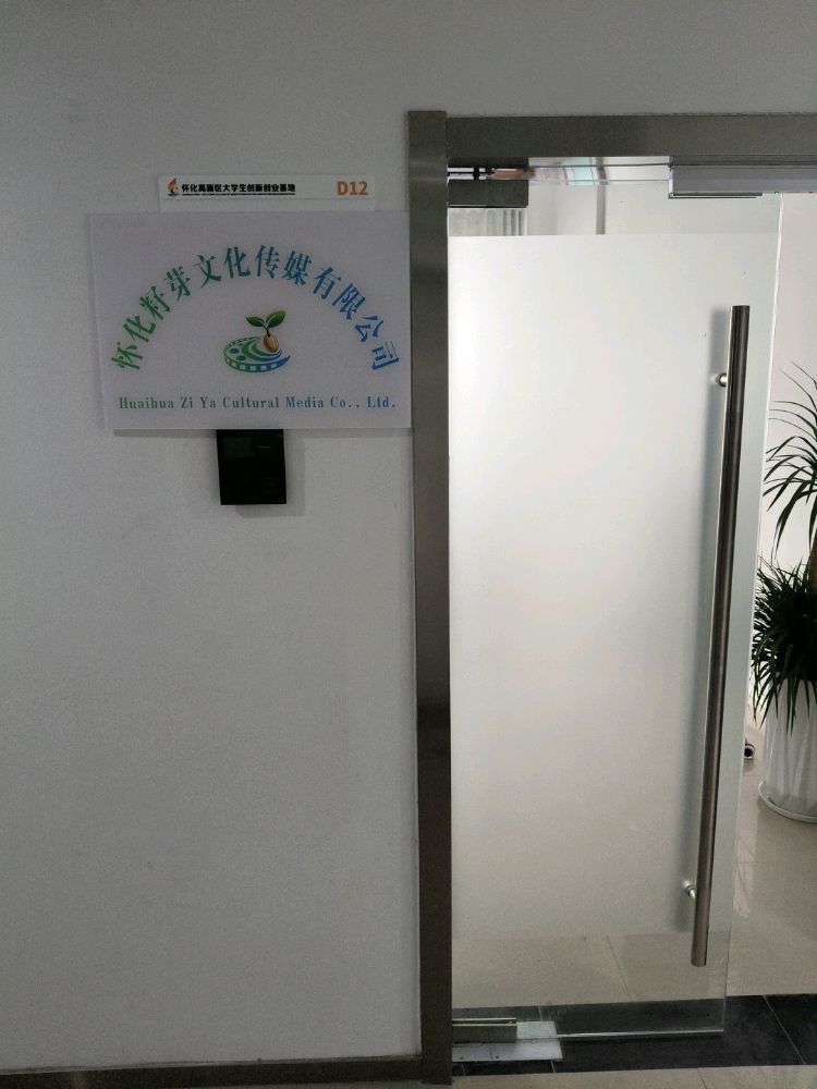 怀化籽芽文化传媒有限公司