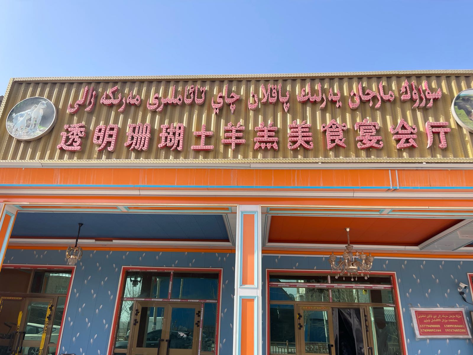 透明珊瑚士羊羔美食宴会厅